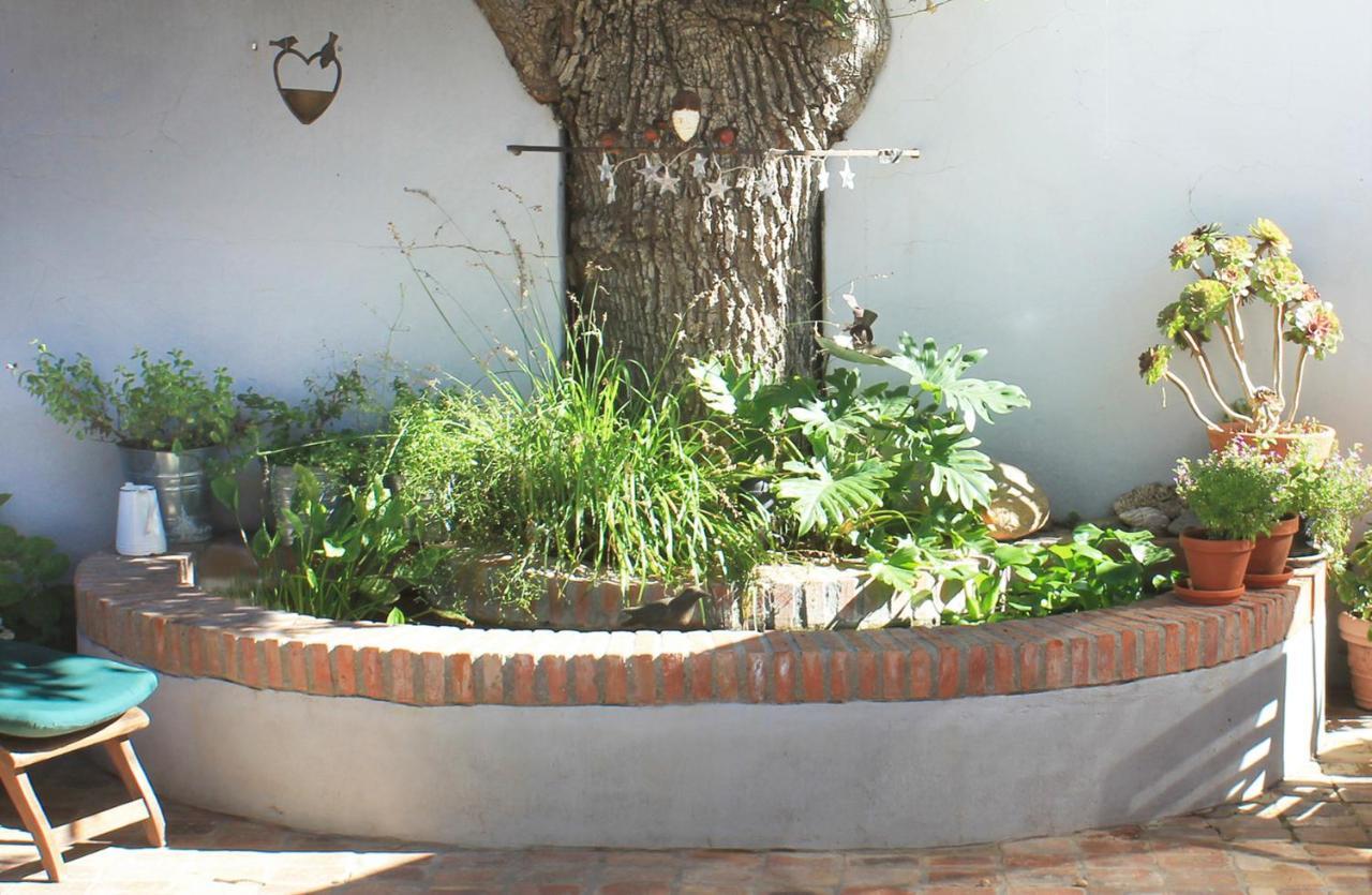 Himmelblau Boutique Bed And Breakfast Cape Town Exterior photo
